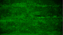 lostdoor_grunge-wallpaper.png SwapRGBGreen